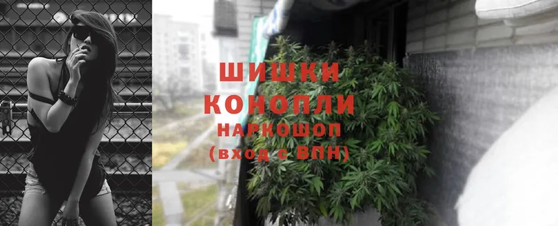 Конопля OG Kush  купить закладку  Белая Холуница 